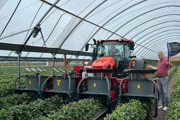 Insektensauger von Thees Dammtec – Ventilator im Einsatz